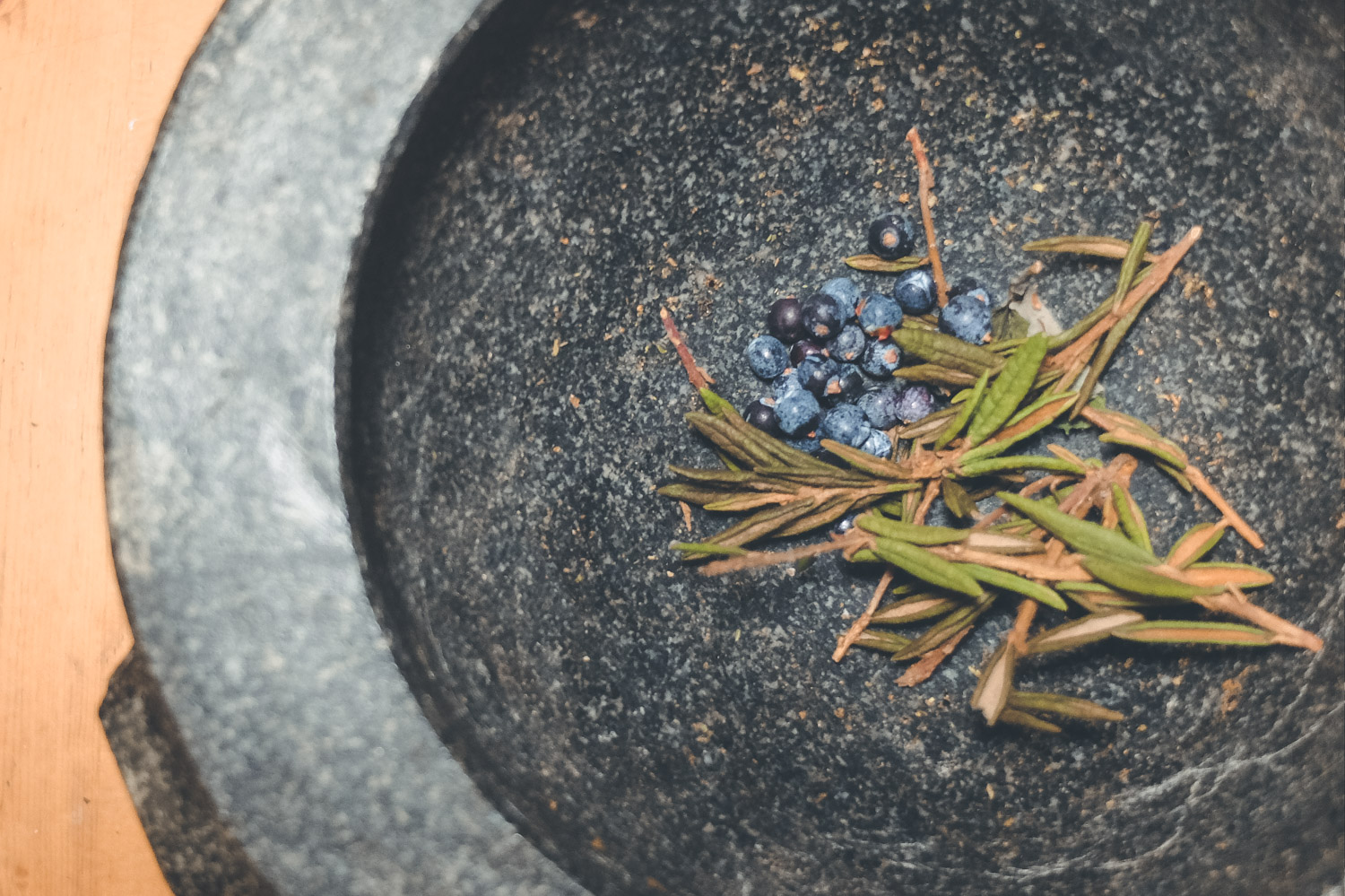 Labrador Tea and Juniper